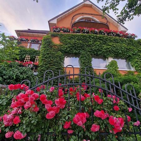 Villa Victoria Łeba Εξωτερικό φωτογραφία