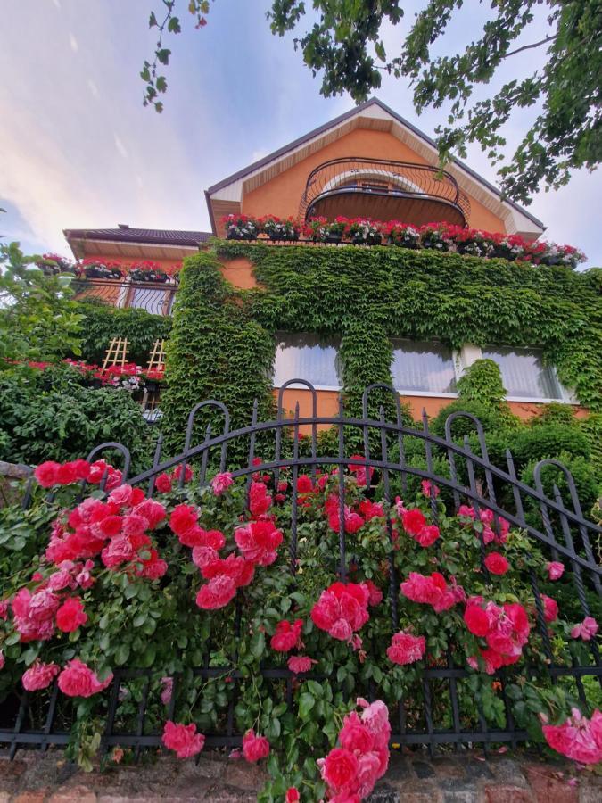 Villa Victoria Łeba Εξωτερικό φωτογραφία