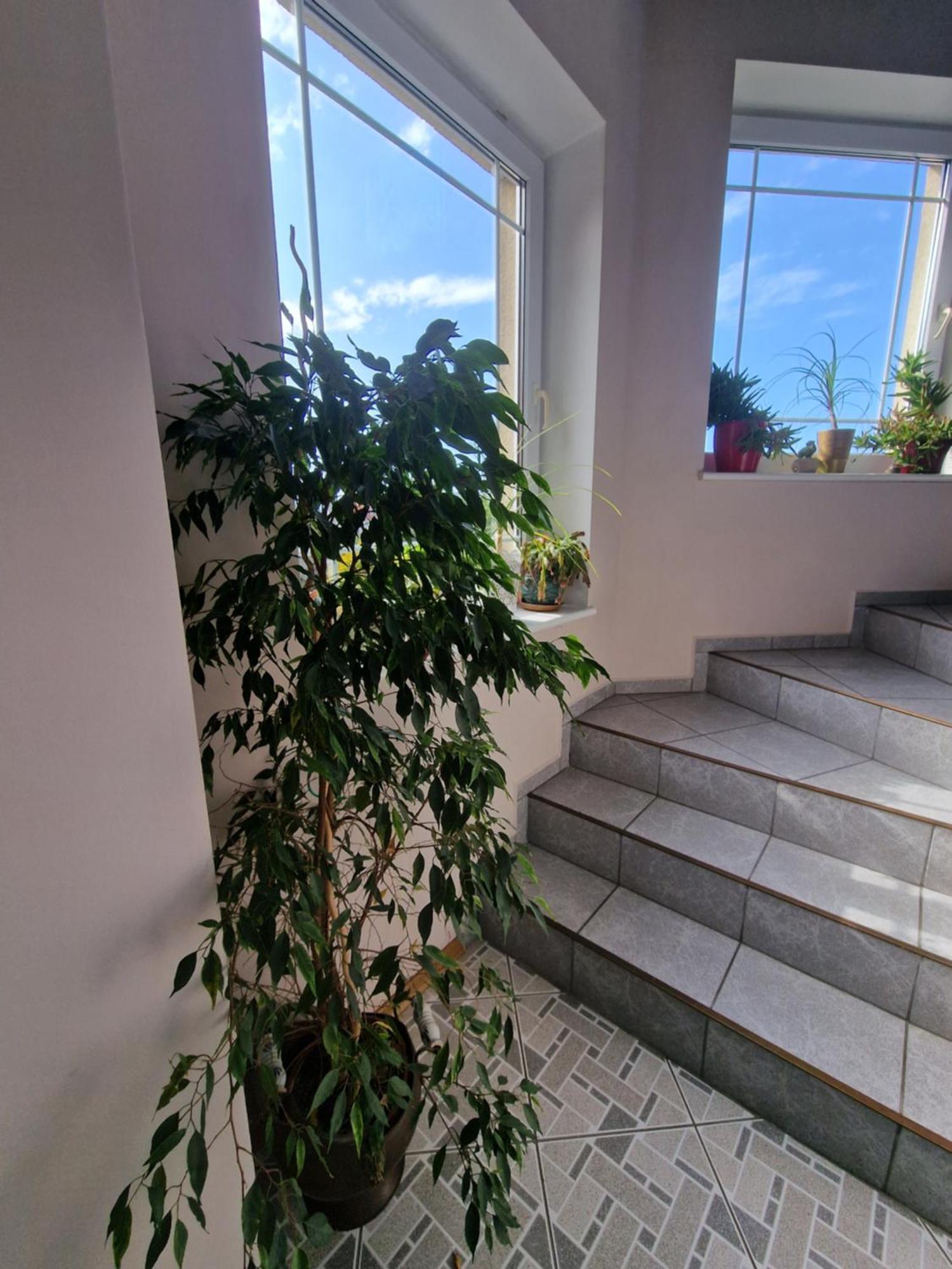 Villa Victoria Łeba Εξωτερικό φωτογραφία