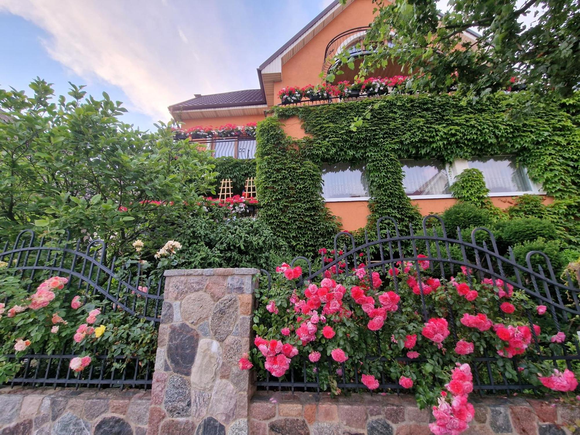Villa Victoria Łeba Εξωτερικό φωτογραφία